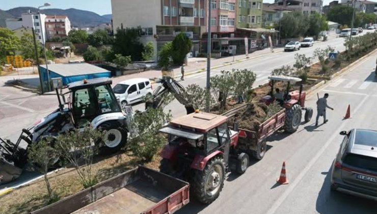 Osmaneli’nde Cadde Düzenlemeleri Başladı!