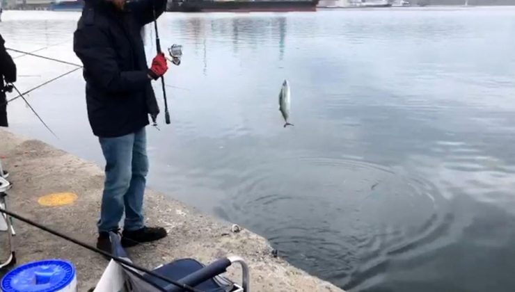 Bandırma’da Palamut Avı İçin Yarış Başladı!