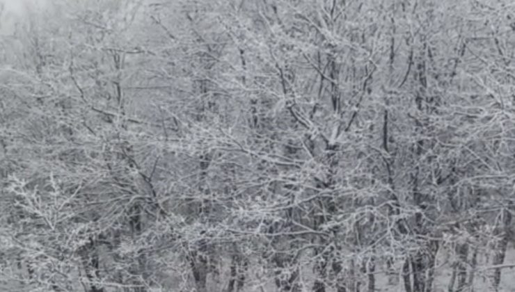 Çanakkale’de Kar Manzaraları Kartpostal Gibi!