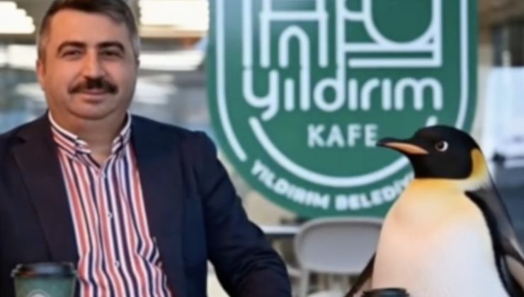 Viral Penguenin Macerası Belediyeleri Güldürdü!