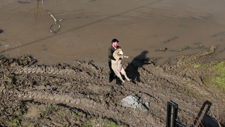 Edirne’de Meriç Nehri Taştı: Çiftçiler Zamanla Yarışıyor