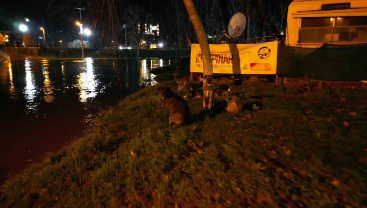 Edirne’de Tunca Nehri Taştı, Kırkpınar Sular Altında!