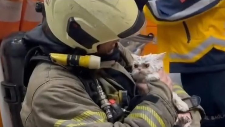 Fatih’te Yangın Paniği: Kedi Kurtarıldı!