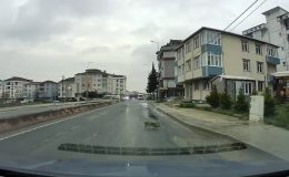 Kedinin Hayatta Kalma Anı Kamerada!