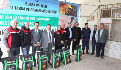 Bursa’da 369 Üreticiye Ayçiçeği Tohumu Dağıtıldı!
