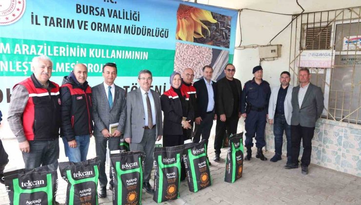 Bursa’da 369 Üreticiye Ayçiçeği Tohumu Dağıtıldı!
