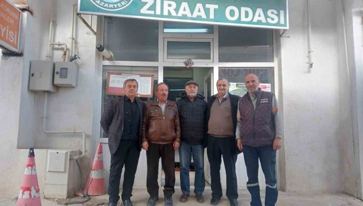 Pazaryeri’nde Tütün Ekim Alanı 50 Dekara Çıkıyor